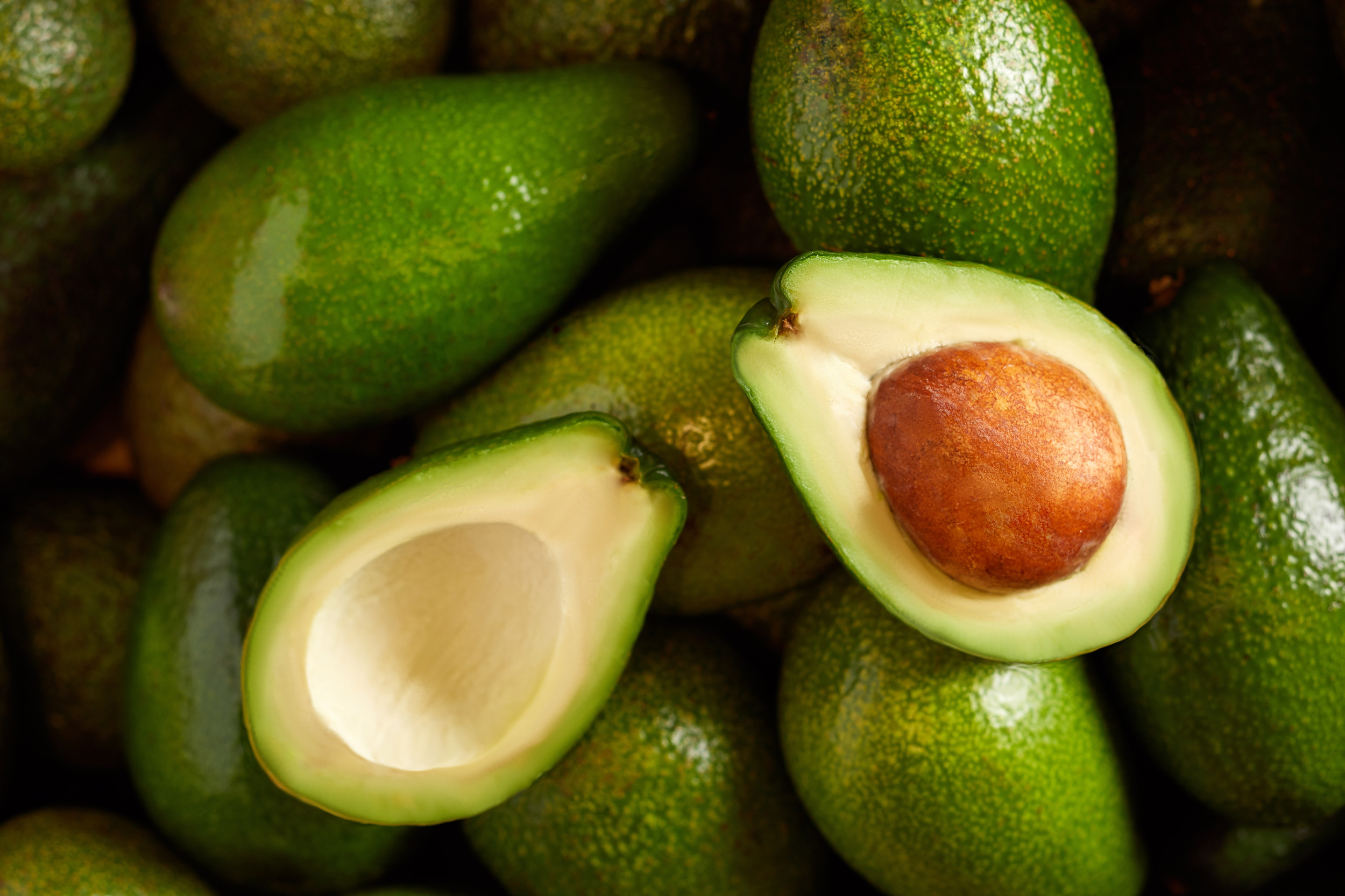 Avocado