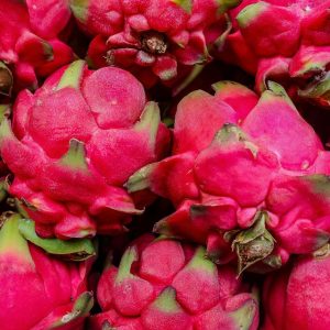 Dragon Fruit