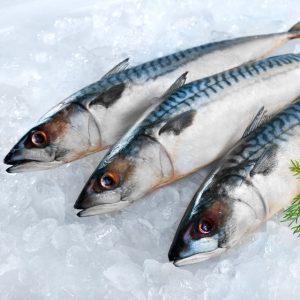 Frozen Mackreal