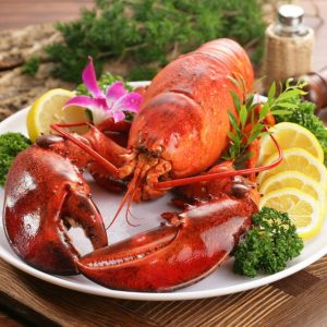 Lobster
