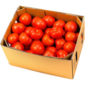 Tomato