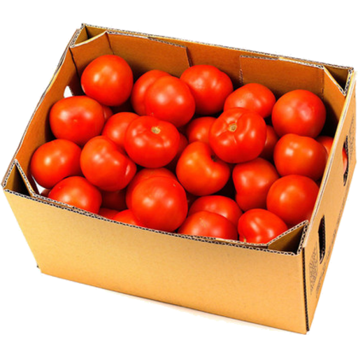 Tomato